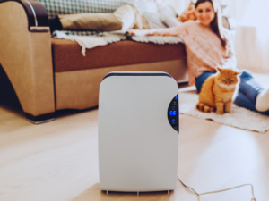Woman with cat near portable dehumidifier